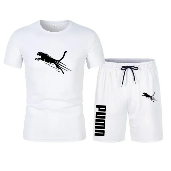 2024 New Summer Men S Clothing Short Sleeved T Shirt Five Point Shorts 2 Piece Set.jpg