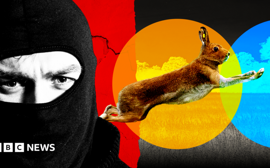 Gangs, violence and dumped dead animals: The hidden world of illegal hare hunts