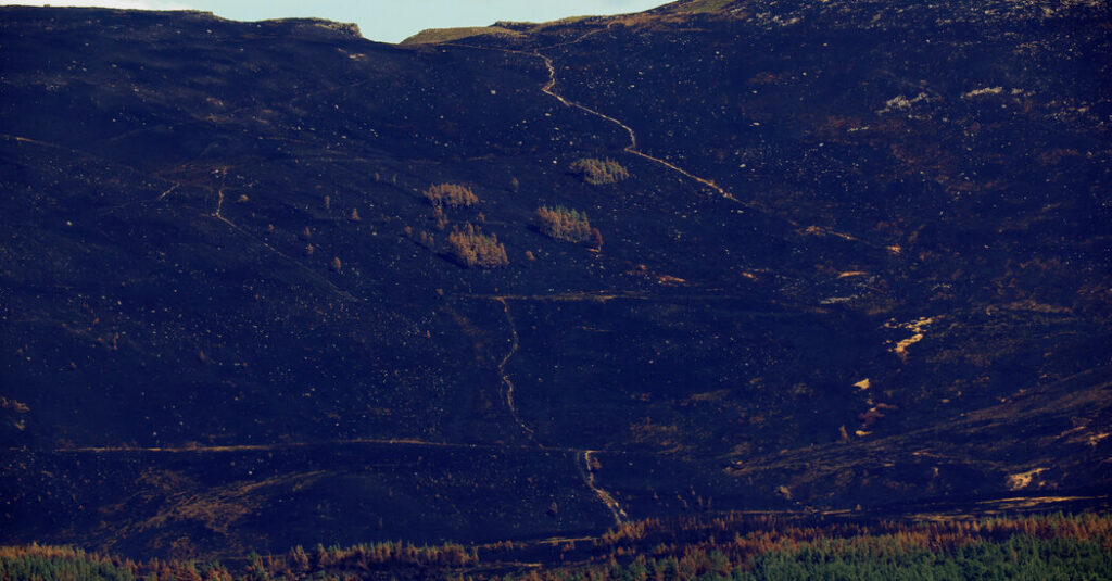 Scotland’s Cairngorms National Park Battles Unprecedented Wildfires Amid Europe’s Rising Heat