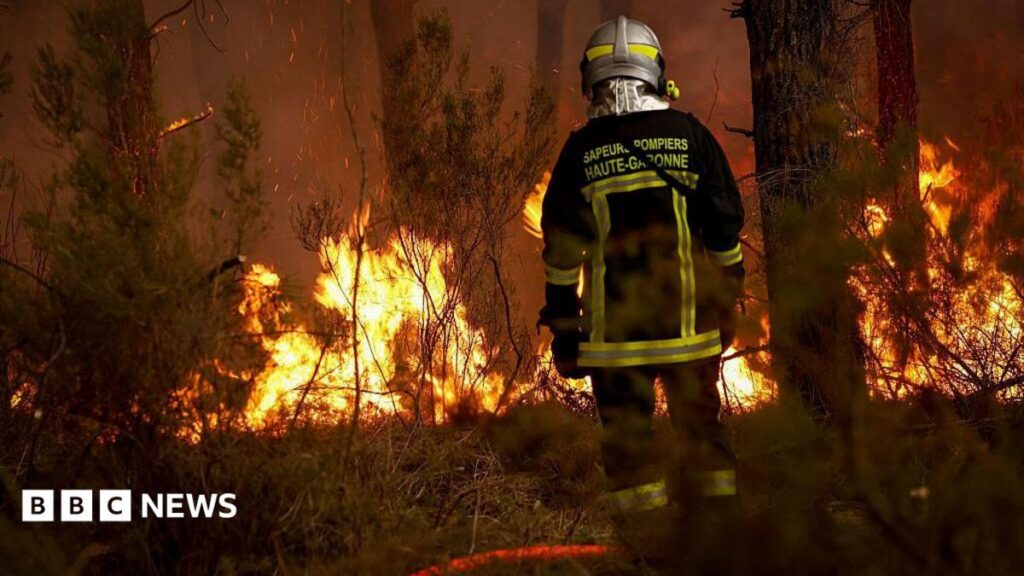 How Wildfires in France and Spain Could Disrupt Your Travel Plans