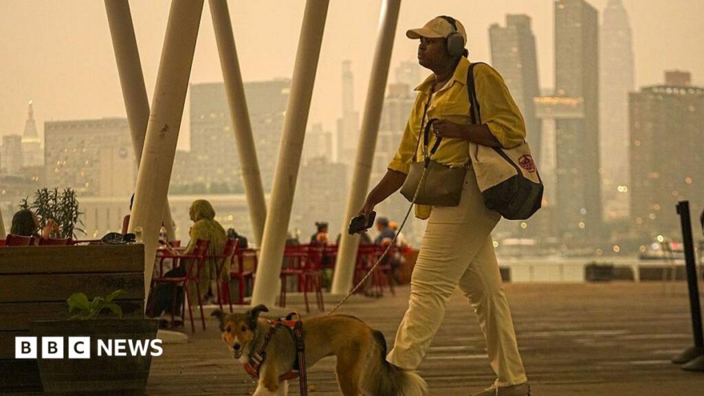 Over 800 Canadian Wildfires Ignite Cross-Border Air Quality Crisis in the US