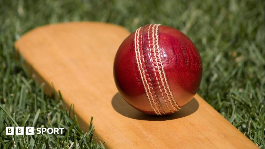 Amateur Cricket Match Sparks Global Debate Over Alleged Finger-Clicking Cheating Tactic