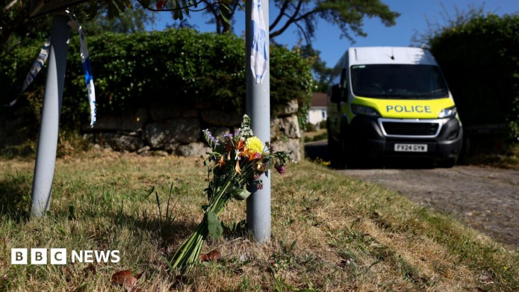 The Arrest in Ann Widdecombe Murder Case: Family Shock and Ongoing Investigation