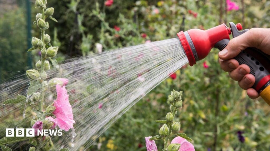 Hosepipe Bans and Water Scarcity: Understanding the UK’s Growing Water Challenges