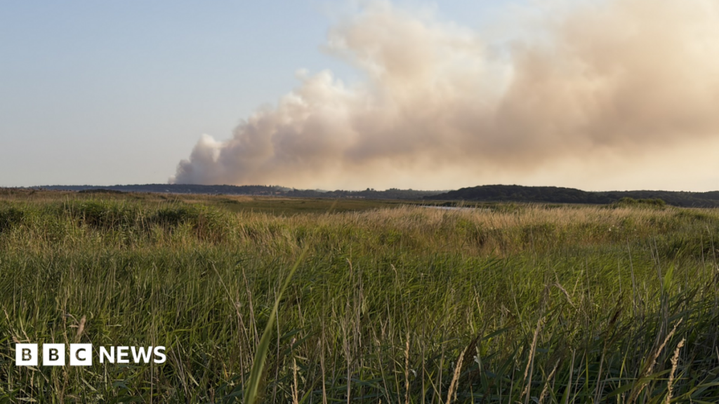 Major Wildfire Declared Major Incident on Suffolk Coast: What You Need to Know