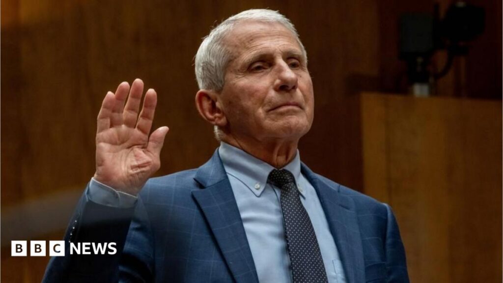 Anthony Fauci Faces Contempt Vote After Invoking Fifth Amendment in Covid-19 Senate Hearing