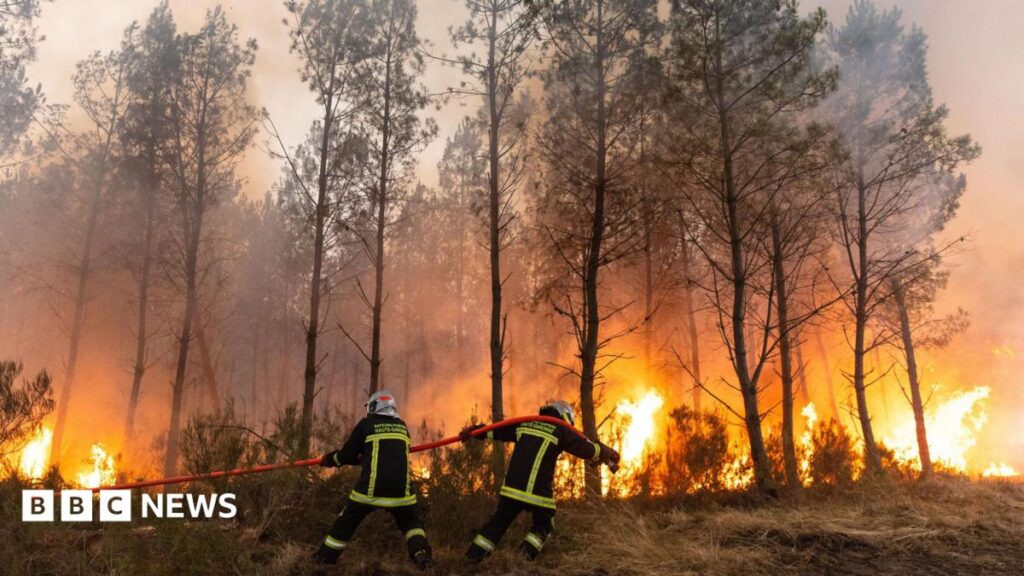 Inside the Devastation: Eyewitness Accounts from the France and Spain Wildfires
