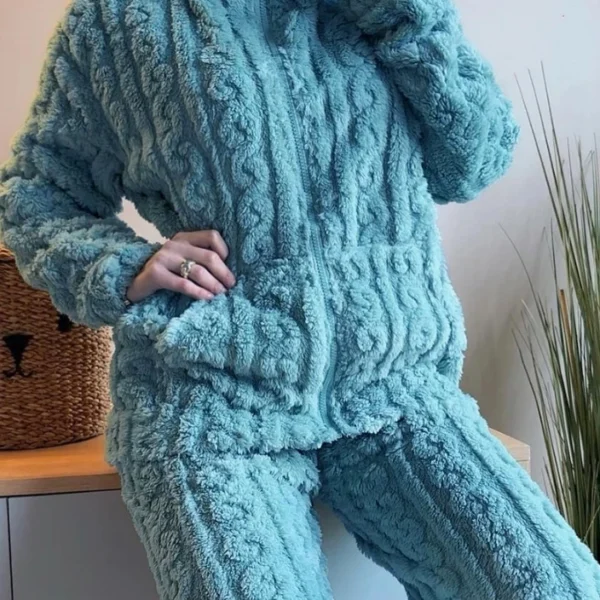 Autumn And Winter Fashion Two Piece Set 2pcs Jacquard Textured Stand Collar Zip Up Fuzzy Teddy.jpg