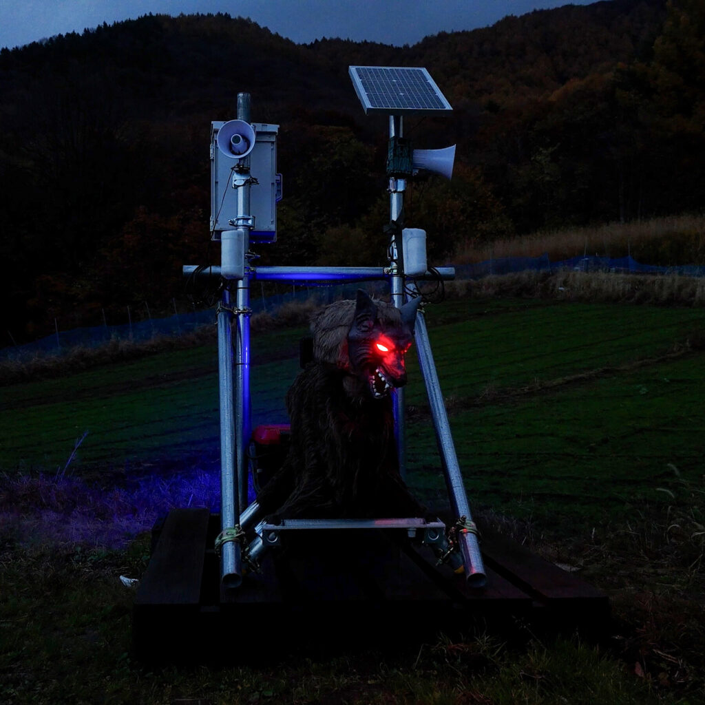 How Robotics Are Transforming Cherry Blossom Farming in Japan’s Aging Countryside
