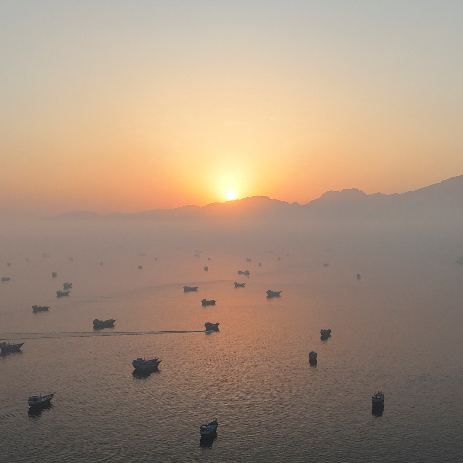 The Strategic Implications of a Potential Iran-Oman Deal to Reopen the Strait of Hormuz