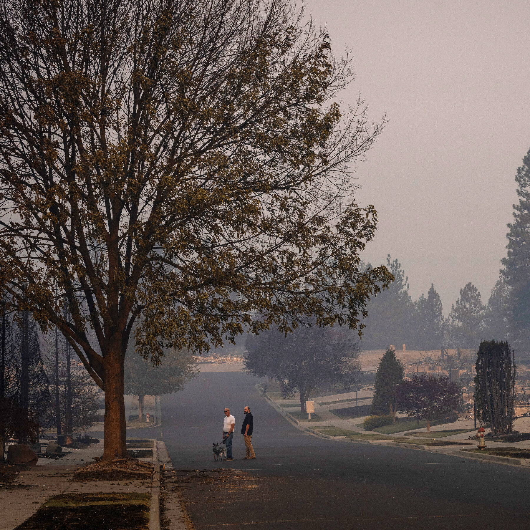 Spokane Wildfires: Assessing the Devastation and Path to Recovery