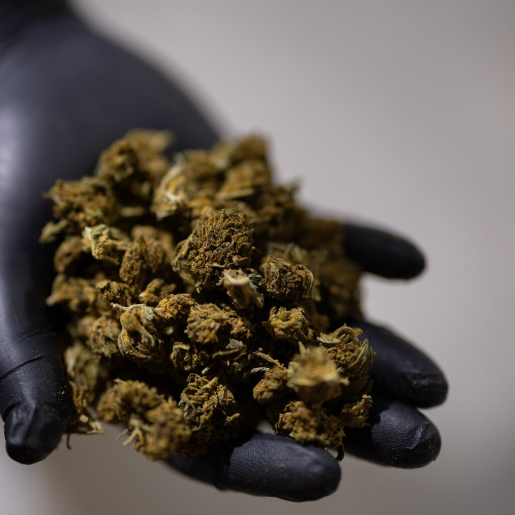 Trump Administration Pushes for Regulatory Relief on Intoxicating Hemp Amid Controversy