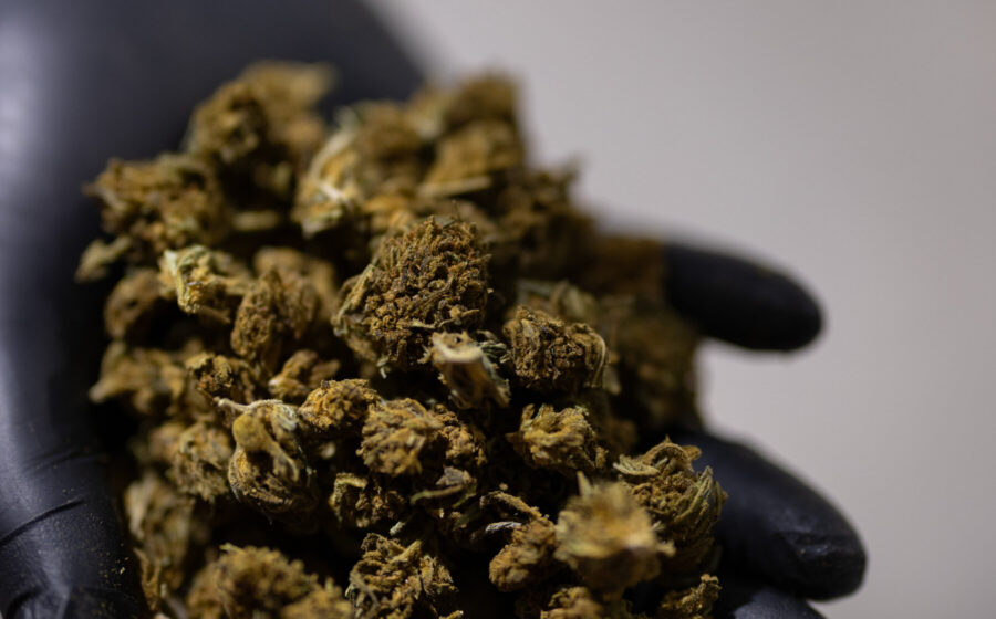 Trump Administration Pushes for Regulatory Relief on Intoxicating Hemp Amid Controversy