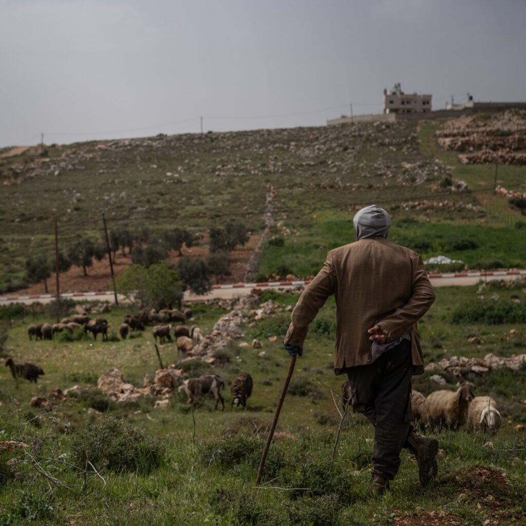Understanding the Dynamics of Israeli Settler Violence and Its Impact on the West Bank