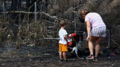 Wildfires in France Uncover Hundreds of WWII Munitions in Le Porge Village