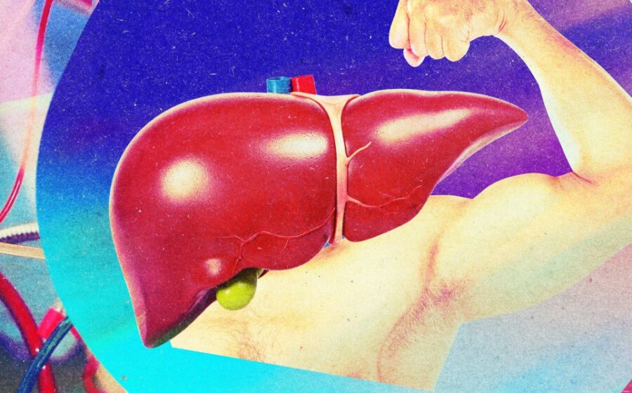 How Machine Perfusion is Revolutionizing Liver Transplants by Reversing Organ Aging