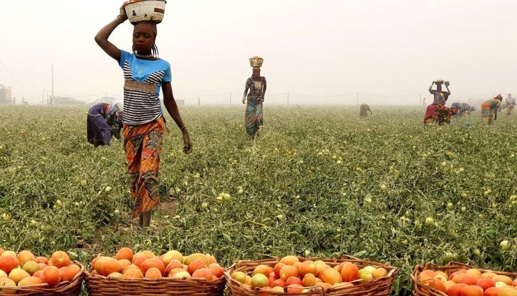 Federal Government Launches Multi-Billion Dollar Agricultural Security Initiative to Attract Investment
